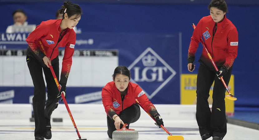 的新活力 的新活力