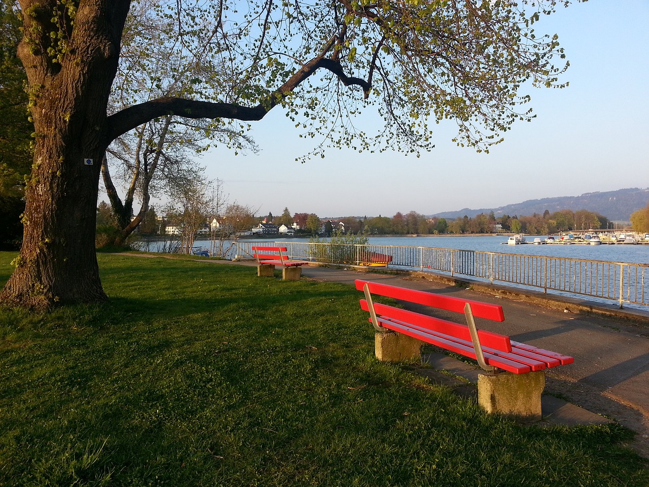 这些成功经 这些成功经